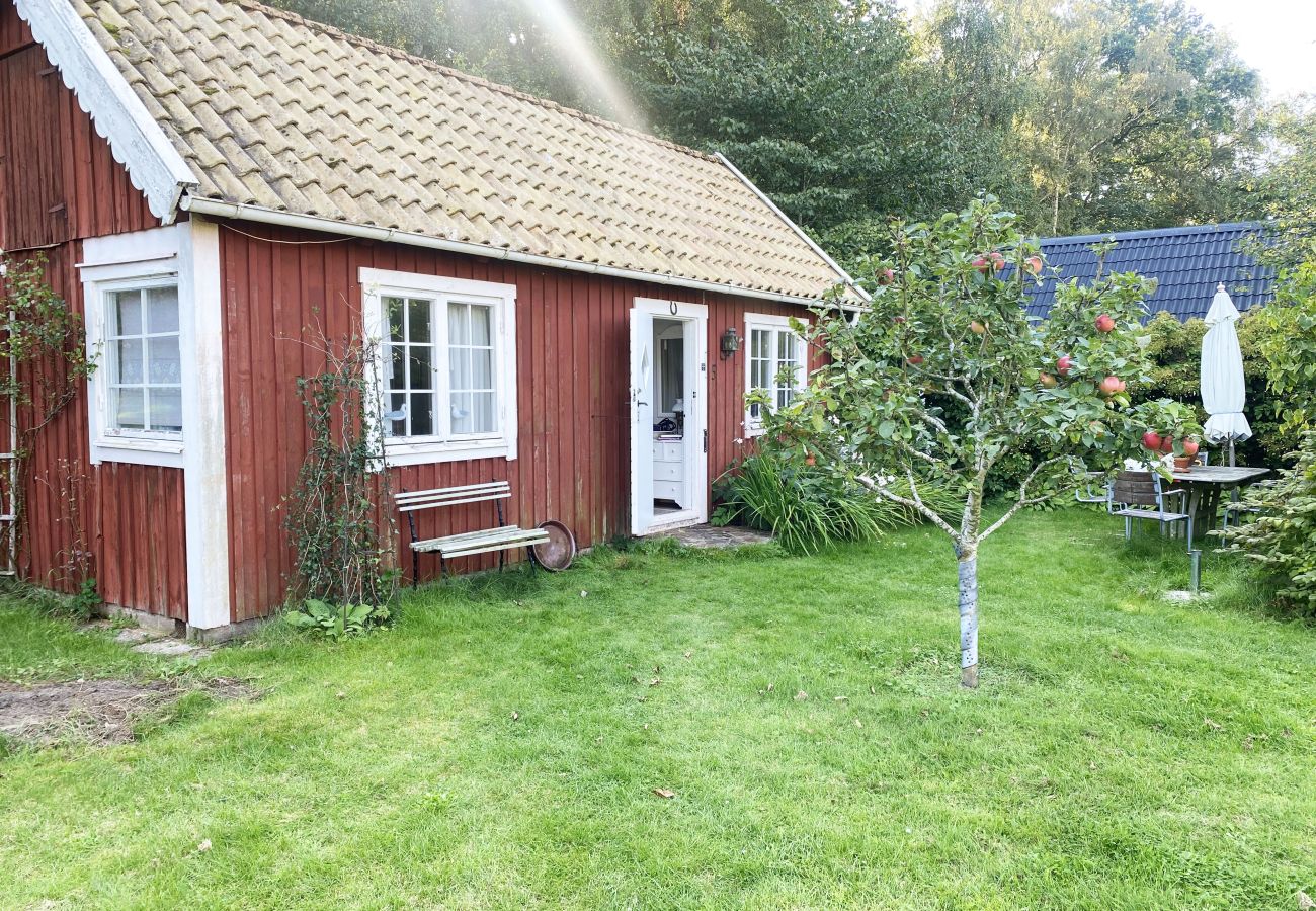 Studio i Vejbystrand - Mysig röd stuga i Vejbystrand nära stranden | SE01069