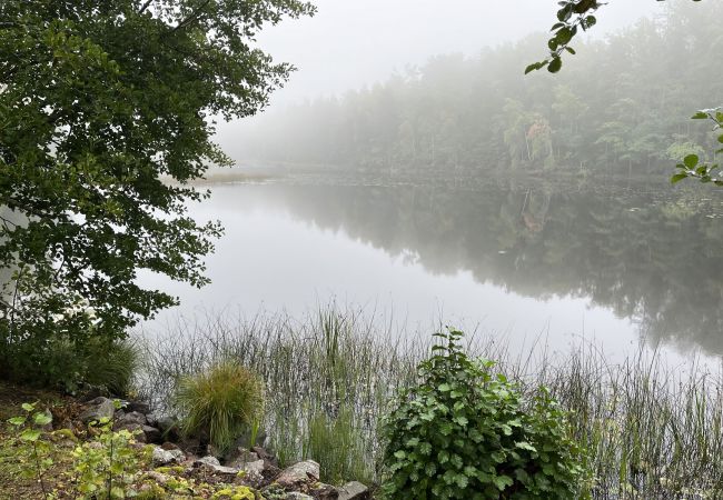 Stuga i Fårbo - Röd stuga belägen vid en kvarndamm och sjö utanför Fårbo I SE05050