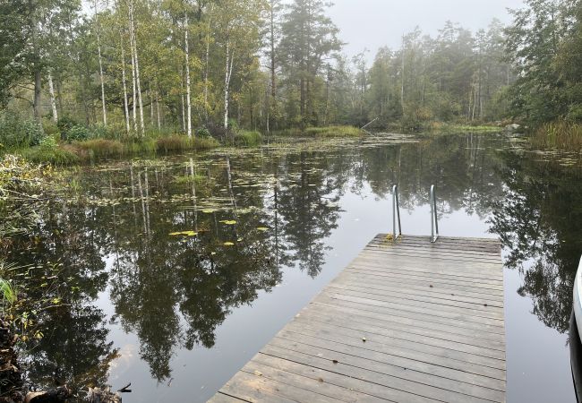 Stuga i Fårbo - Röd stuga belägen vid en kvarndamm och sjö utanför Fårbo I SE05050