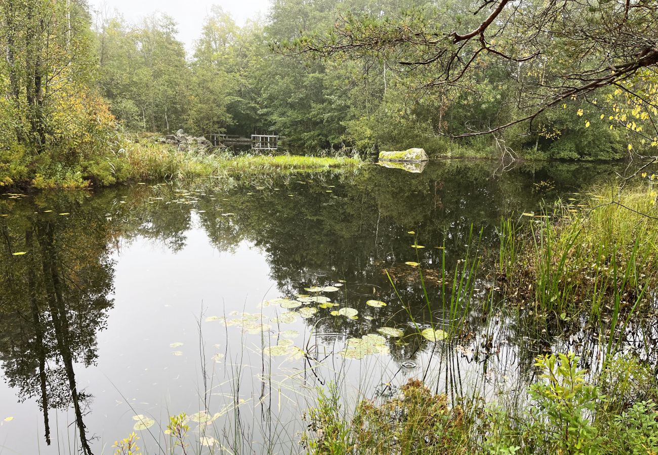 Stuga i Fårbo - Röd stuga belägen vid en kvarndamm och sjö utanför Fårbo I SE05050