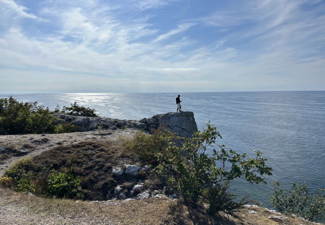 Stuga i Visby - Mysig lillstuga mitt på Gotland nära Visby | SE12024 Stuga i Visby - Mysig lillstuga mitt på Gotland nära Visby | SE12024