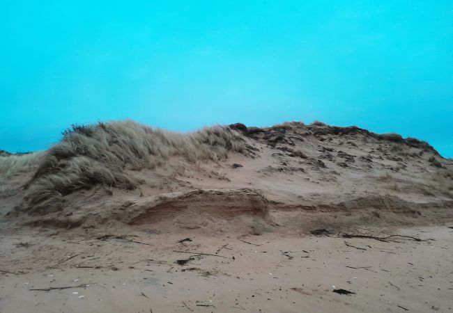 Stuga i Eldsberga - Fin liten stuga i pittoreska Tönnersa strandby, i närheten av Halmstad | SE02097 Stuga i Eldsberga - Fin liten stuga i pittoreska Tönnersa strandby, i närheten av Halmstad | SE02097