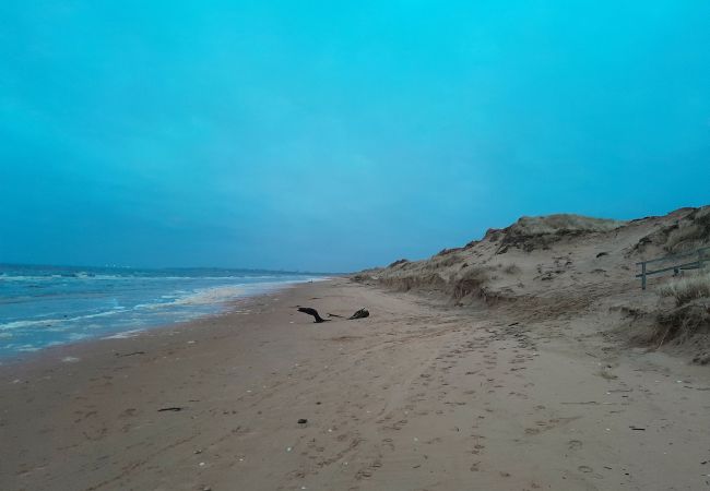 Stuga i Eldsberga - Fin liten stuga i pittoreska Tönnersa strandby, i närheten av Halmstad | SE02097