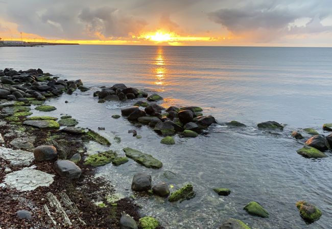 Stuga i Romakloster - Genuint Gotlandhus med stor trädgård i Roma | SE12026