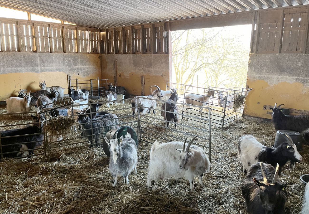 Stuga i Jämjö - Fin liten röd stuga på landsbygden belägen utanför Jämjö | SE05068