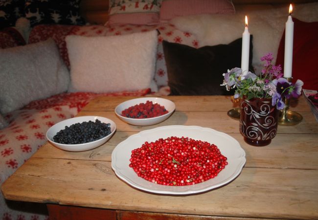 Stuga i Frändefors - Charmig Stuga vid Vänern, Frändefors | SE17013 Stuga i Frändefors - Charmig Stuga vid Vänern, Frändefors | SE17013