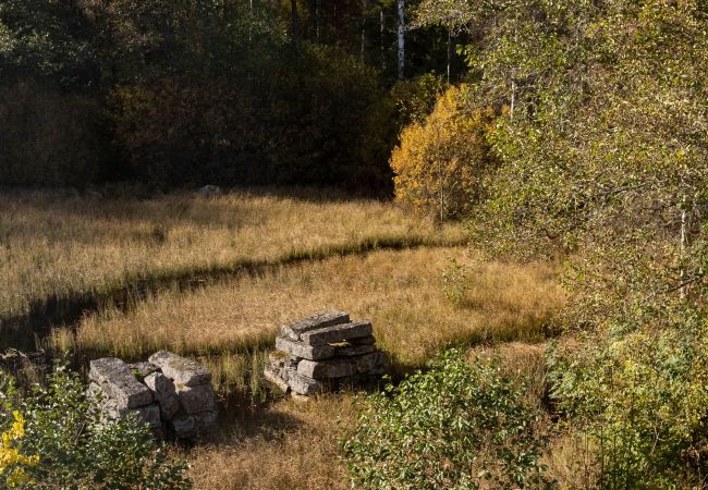 Stuga i Marieholmsbruk - Familjevänlig stuga vid Sjön i Småland – Perfekt för Stora Sällskap  SE06078 Stuga i Marieholmsbruk - Familjevänlig stuga vid Sjön i Småland – Perfekt för Stora Sällskap  SE06078