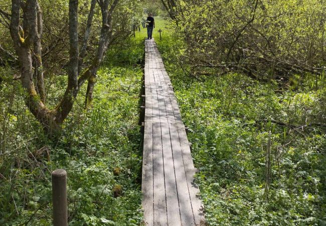 Stuga i Billesholm - Charmigt semesterhus vid Söderåsen   SE01077 Stuga i Billesholm - Charmigt semesterhus vid Söderåsen   SE01077