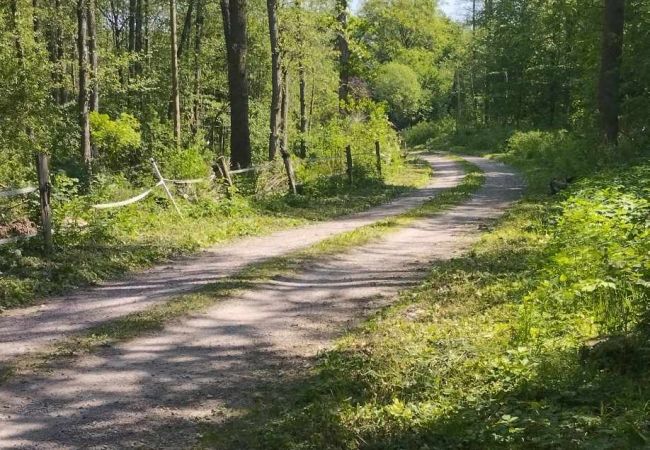Stuga i Billesholm - Charmigt semesterhus vid Söderåsen   SE01077 Stuga i Billesholm - Charmigt semesterhus vid Söderåsen   SE01077
