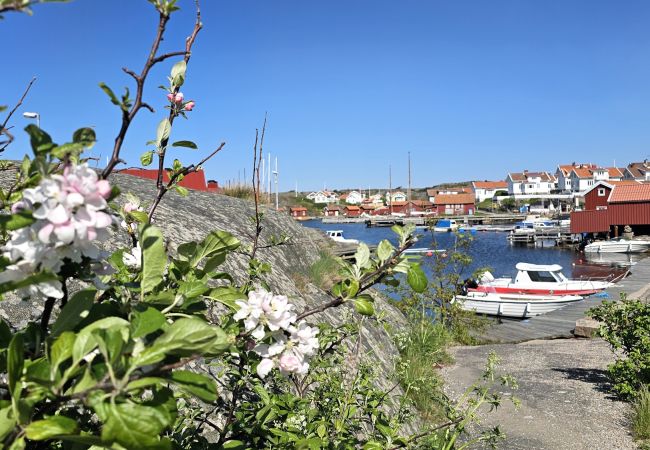 Stuga i Ellös - Stort hus nära Hälleviksstrand,  familjevänligt | SE09105 Stuga i Ellös - Stort hus nära Hälleviksstrand,  familjevänligt | SE09105