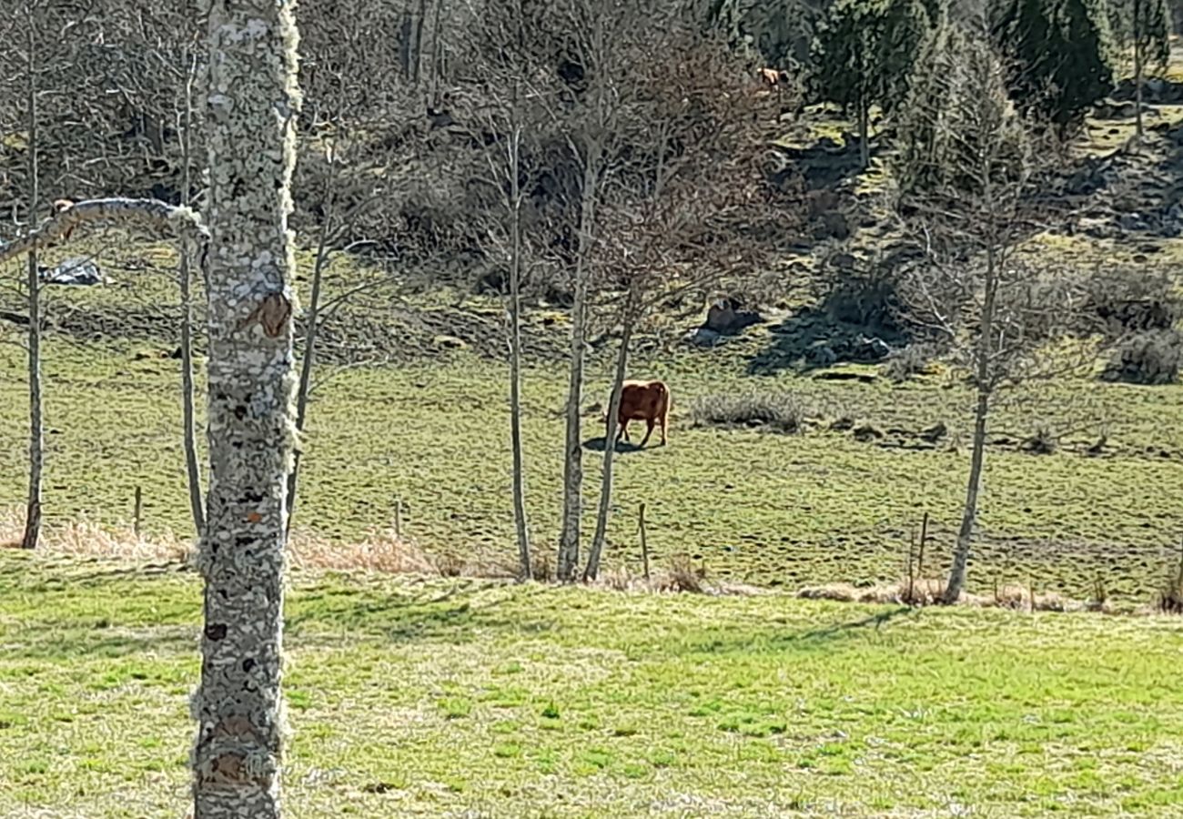 Stuga i Mönsterås - Trivsam stuga i lantlig idyll nära Mönsterås | SE05055