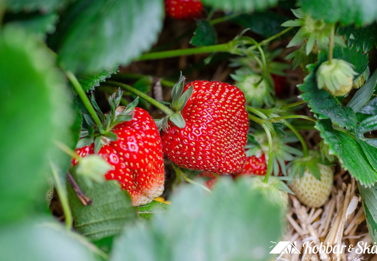 Stuga i Henån - Fräsch lägenhet på västra Orust nära Nösund | SE09122