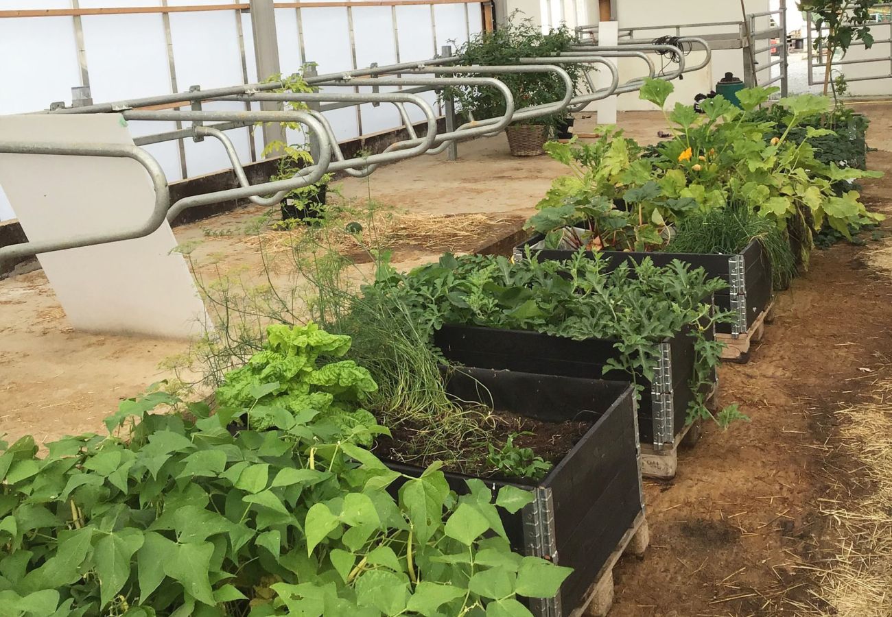 Stuga i Henån - Fräsch lägenhet på västra Orust nära Nösund | SE09122