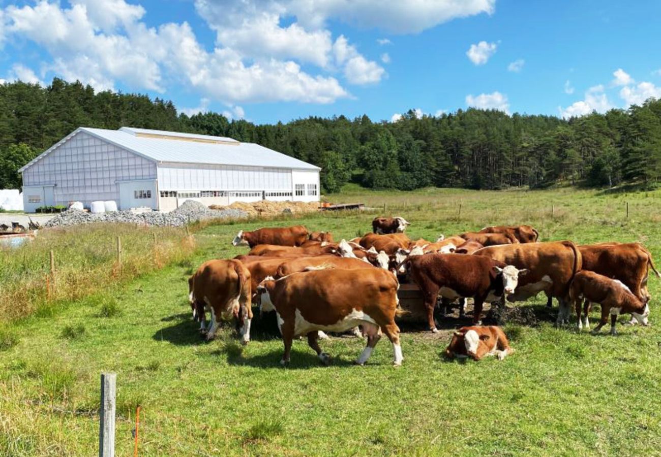 Stuga i Henån - Fräsch lägenhet på västra Orust nära Nösund | SE09122