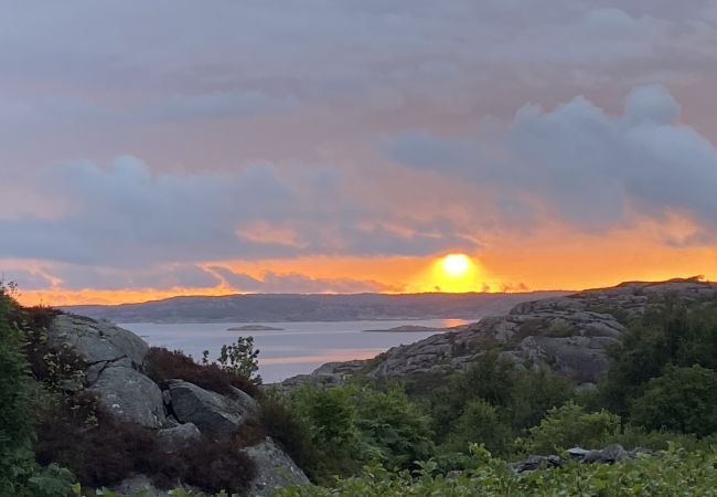 Stuga i Hjälteby - Arkitektritad villa med pool, bastu och havsutsikt på Mjörn| SE09124 Stuga i Hjälteby - Arkitektritad villa med pool, bastu och havsutsikt på Mjörn| SE09124