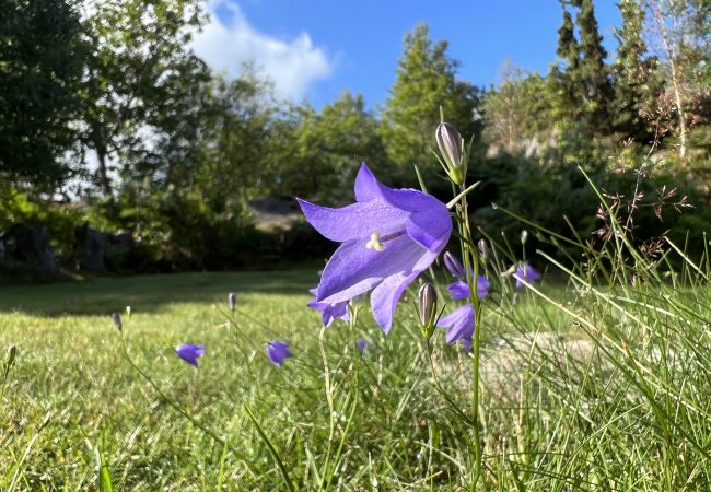 Stuga i Hjälteby - Arkitektritad villa med pool, bastu och havsutsikt på Mjörn| SE09124 Stuga i Hjälteby - Arkitektritad villa med pool, bastu och havsutsikt på Mjörn| SE09124