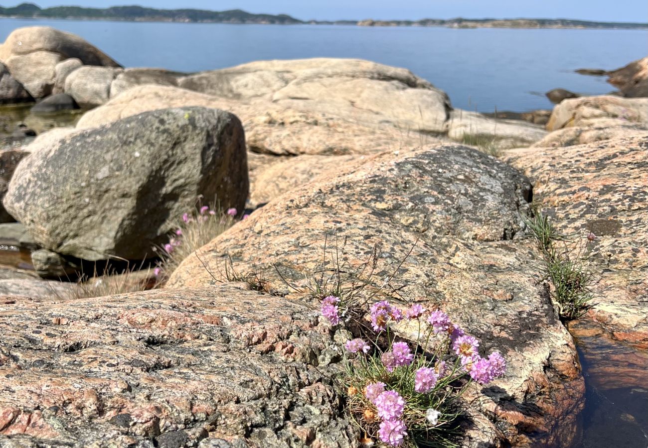Stuga i Hjälteby - Arkitektritad villa med pool, bastu och havsutsikt på Mjörn| SE09124
