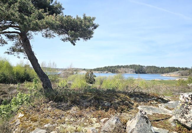 Stuga i Varekil - Havsnära semesterparadis på Rossön, Orust | SE09126 Stuga i Varekil - Havsnära semesterparadis på Rossön, Orust | SE09126
