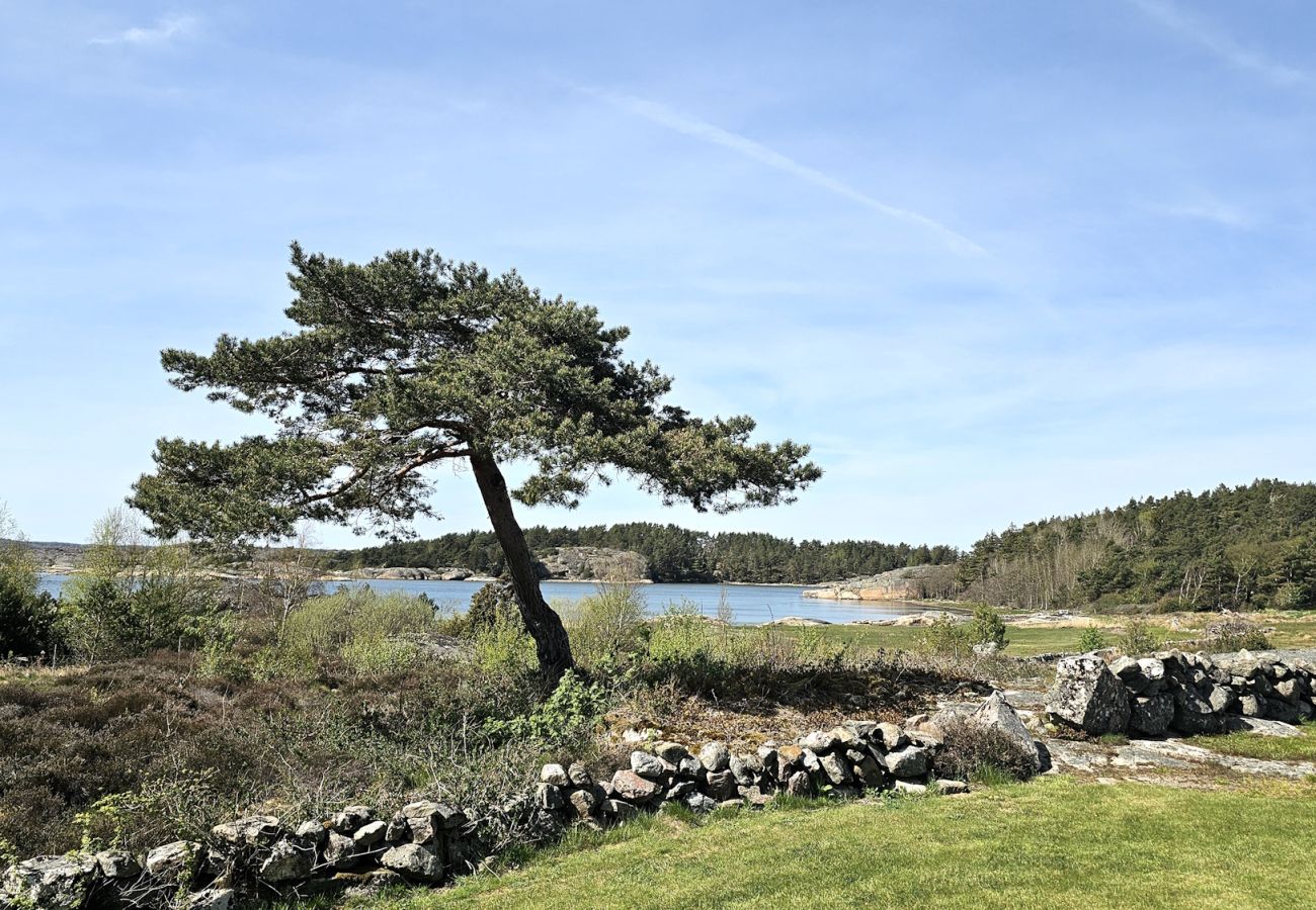 Stuga i Varekil - Havsnära semesterparadis på Rossön, Orust | SE09126