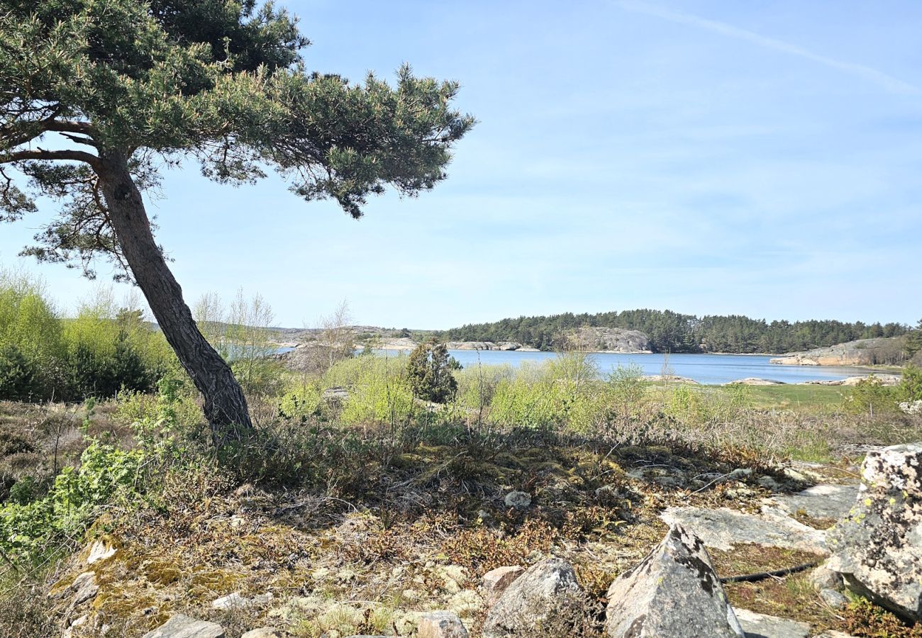 Stuga i Varekil - Havsnära semesterparadis på Rossön, Orust | SE09126