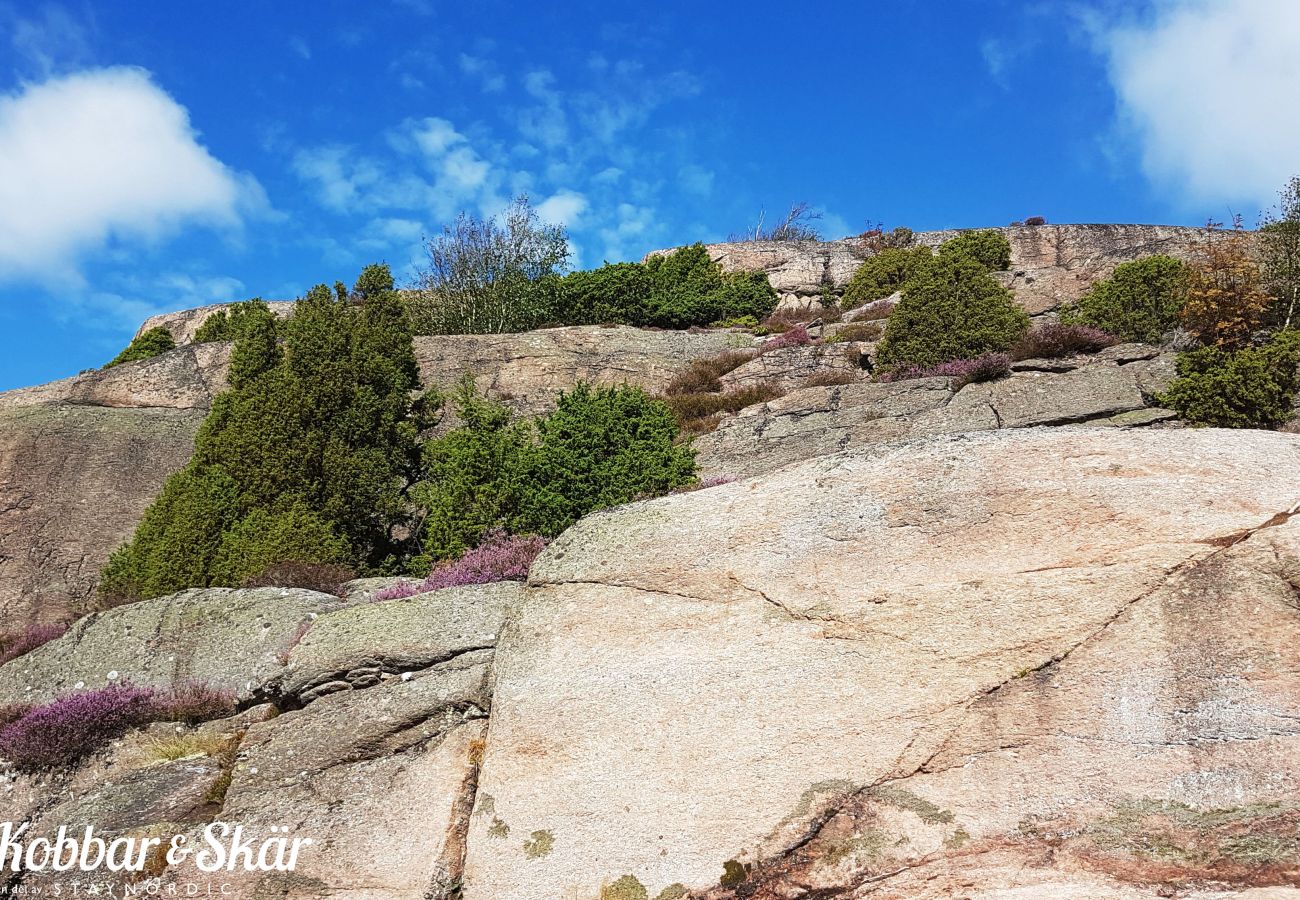 Stuga i Hjälteby - Stuga med naturtomt och bastu på Mjörn | SE09134
