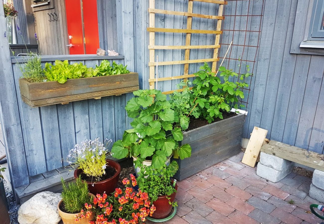 Stuga i Svanesund - Fantastisk havsutsikt och 100 m till stranden i Svanesund | SE09137