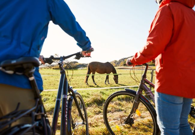 Stuga i Varekil - Stuga i vacker bergsmiljö på Mjörn bara 300m till hav | SE09115 Stuga i Varekil - Stuga i vacker bergsmiljö på Mjörn bara 300m till hav | SE09115