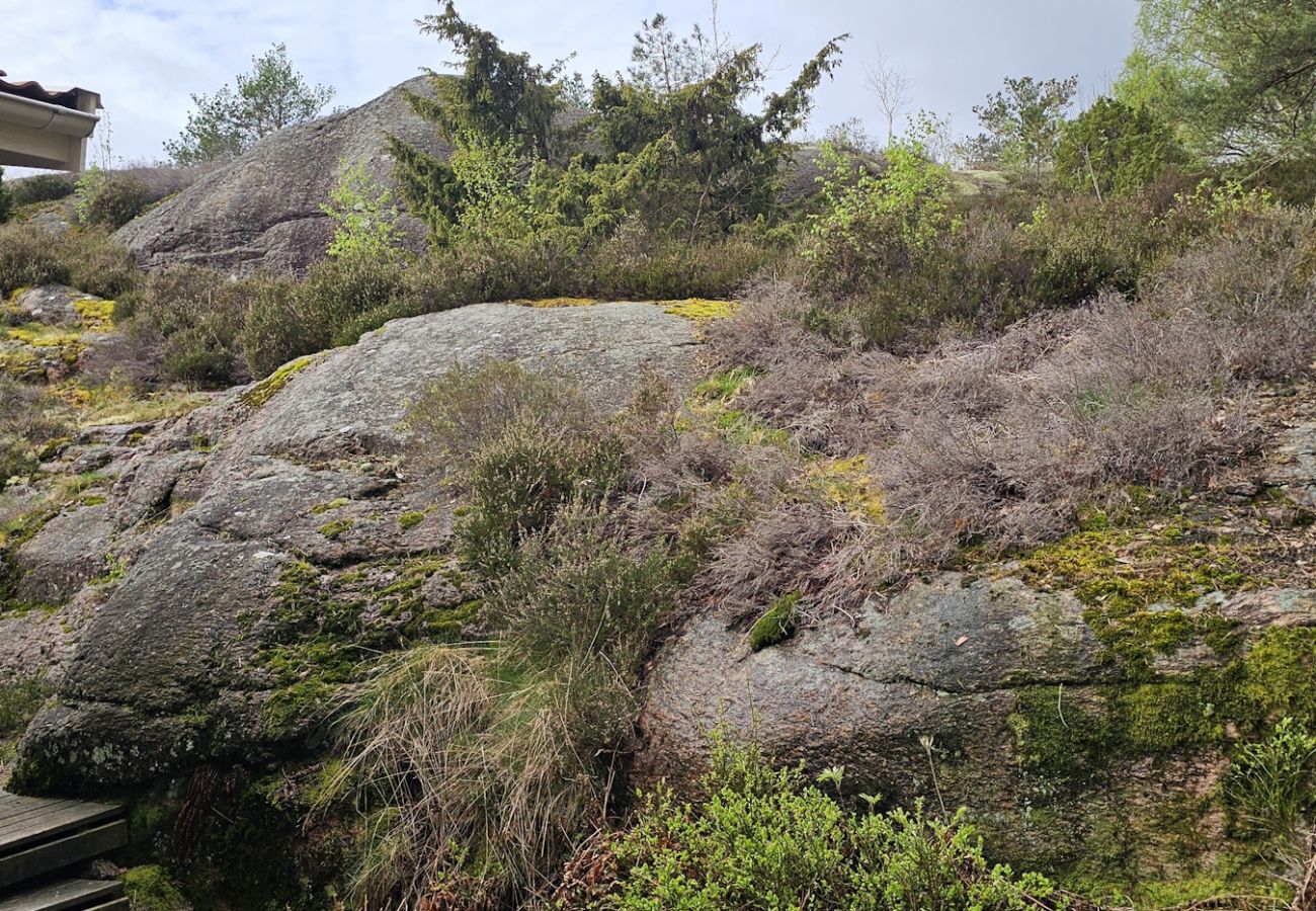 Stuga i Varekil - Stuga i vacker bergsmiljö på Mjörn bara 300m till hav | SE09115
