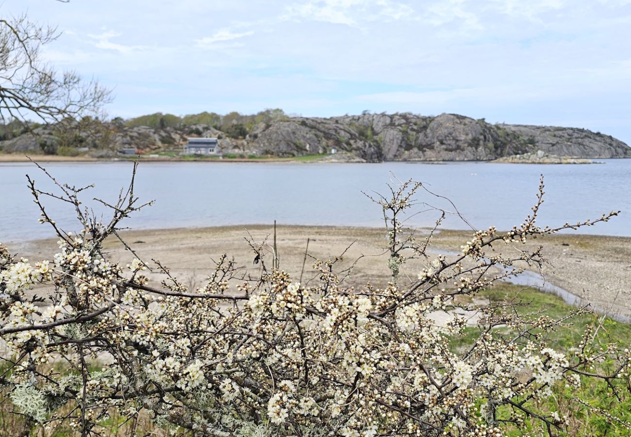 Stuga i Ellös - Rymligt semesterhus i Ellös, 300m till fin sandstrand | SE09113