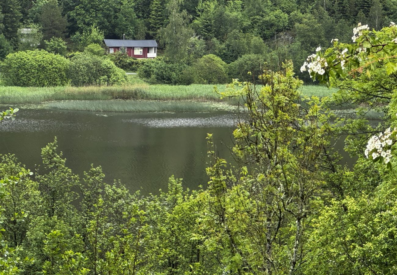 Stuga i Hällevadsholm - Mysig vildmarksstuga vid Kynnefjäll – nära sjö, natur och vandringsleder |SE09081