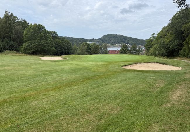 Stuga i Munkedal - Timmerhus, pool, bastu och båt vid Torreby Slott| SE09080 Stuga i Munkedal - Timmerhus, pool, bastu och båt vid Torreby Slott| SE09080