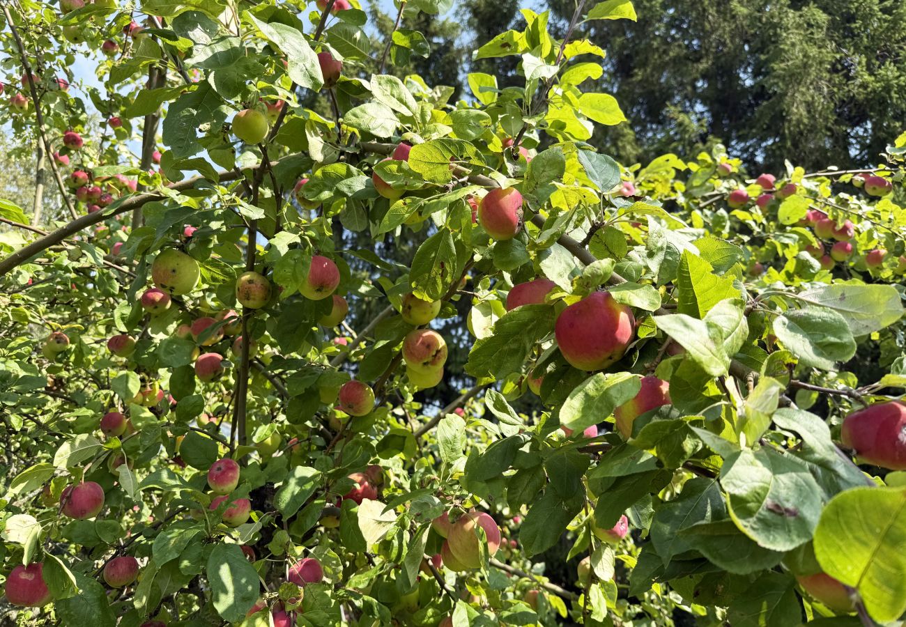 Stuga i Väderstad - Charmig röd stuga i Väderstad – lugn lantidyll nära Tåkern | SE10024