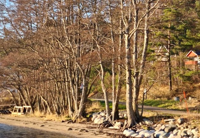Stuga i Uddevalla - 50m till sandstrand vid Kavlanda Brygga | SE09147 Stuga i Uddevalla - 50m till sandstrand vid Kavlanda Brygga | SE09147