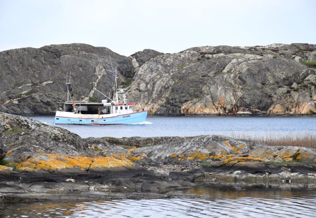 Stuga i Skärhamn - Stort hus nära havet i Skärhamn | SE09149 Stuga i Skärhamn - Stort hus nära havet i Skärhamn | SE09149