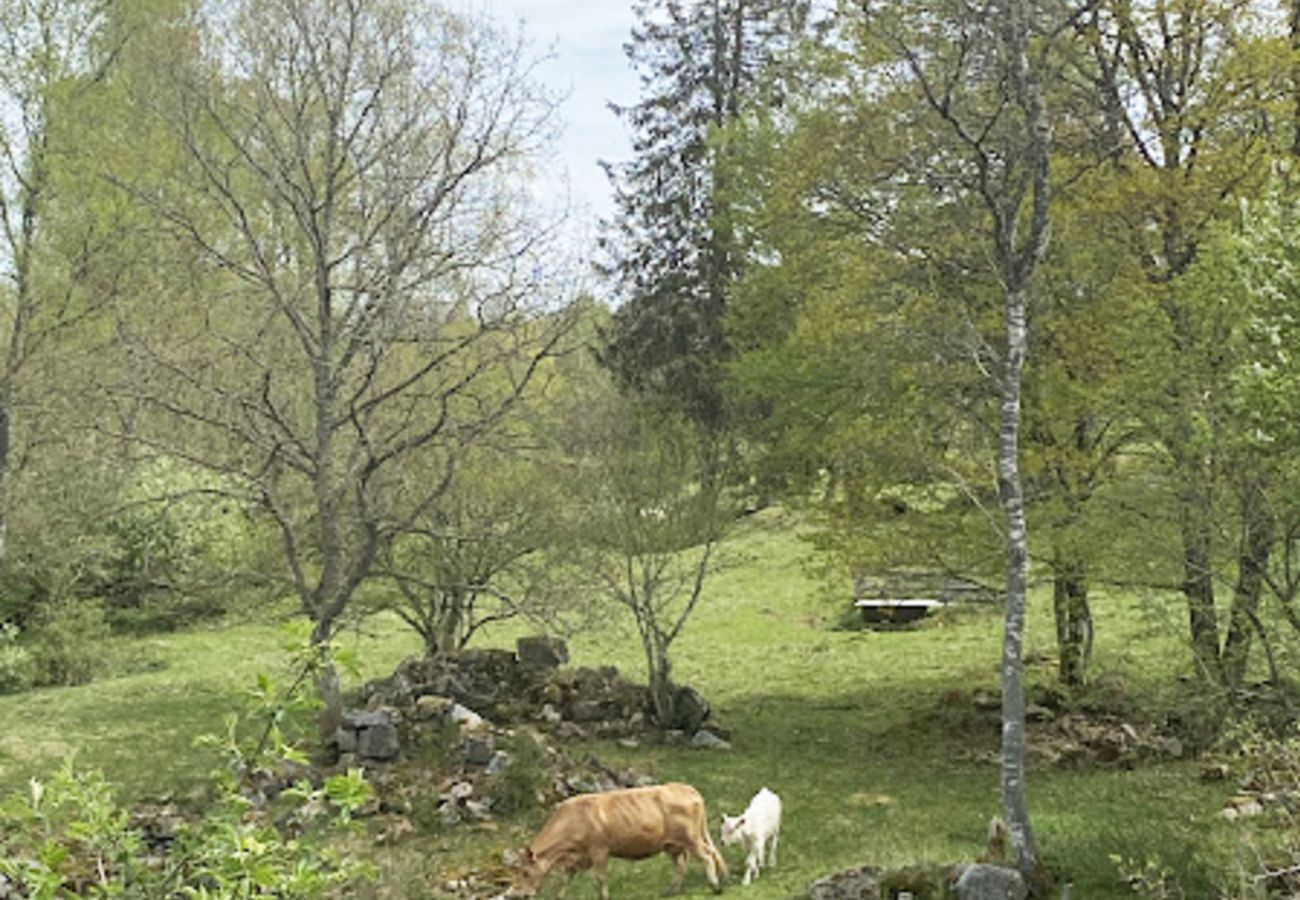 Lägenhet i Ljungbyhed - Charmig semesterlägenhet nära naturen | SE01081