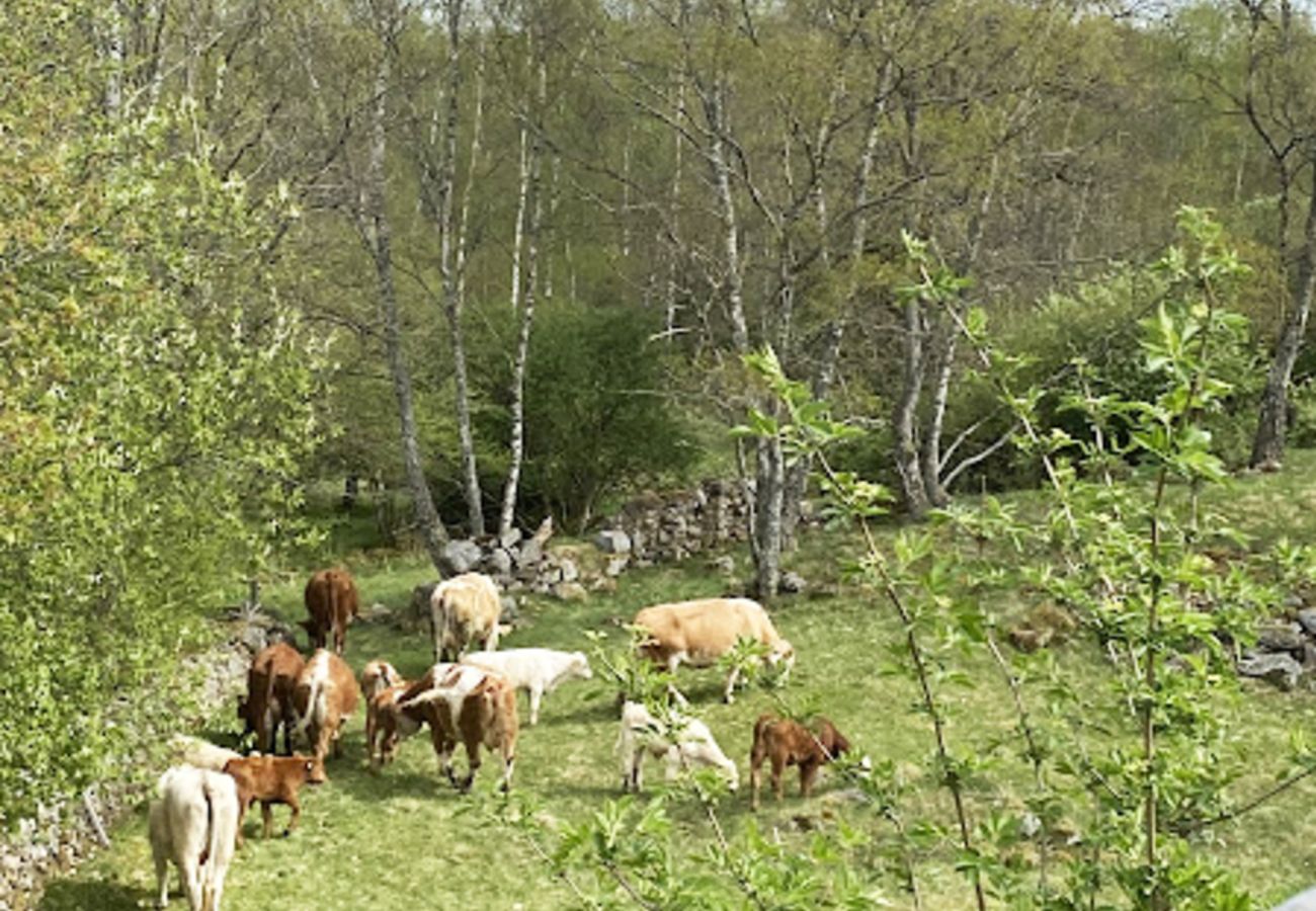 Lägenhet i Ljungbyhed - Charmig semesterlägenhet nära naturen | SE01081