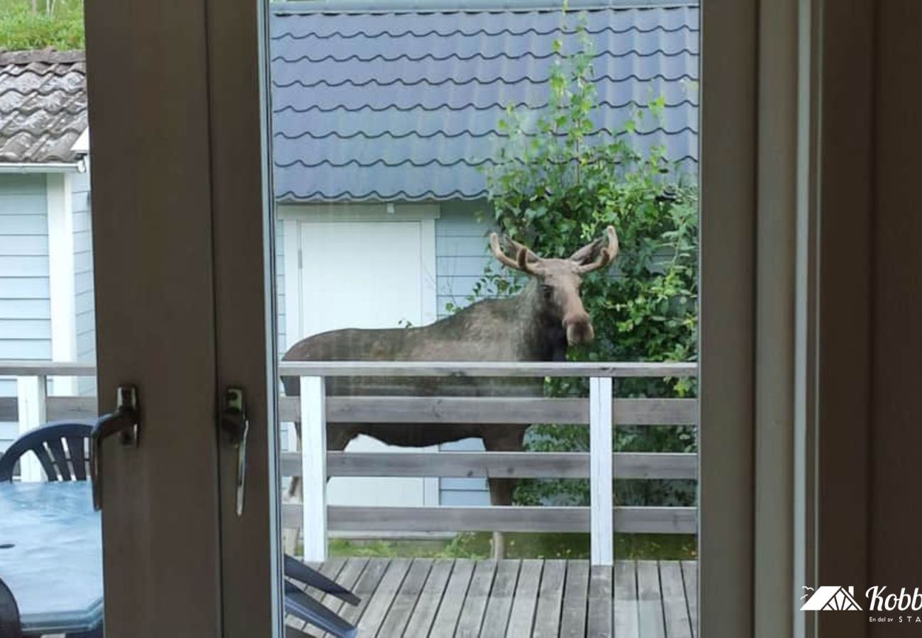 Stuga i Svanesund - Rymlig stuga i Svanesund nära badplats och mataffär | SE09163