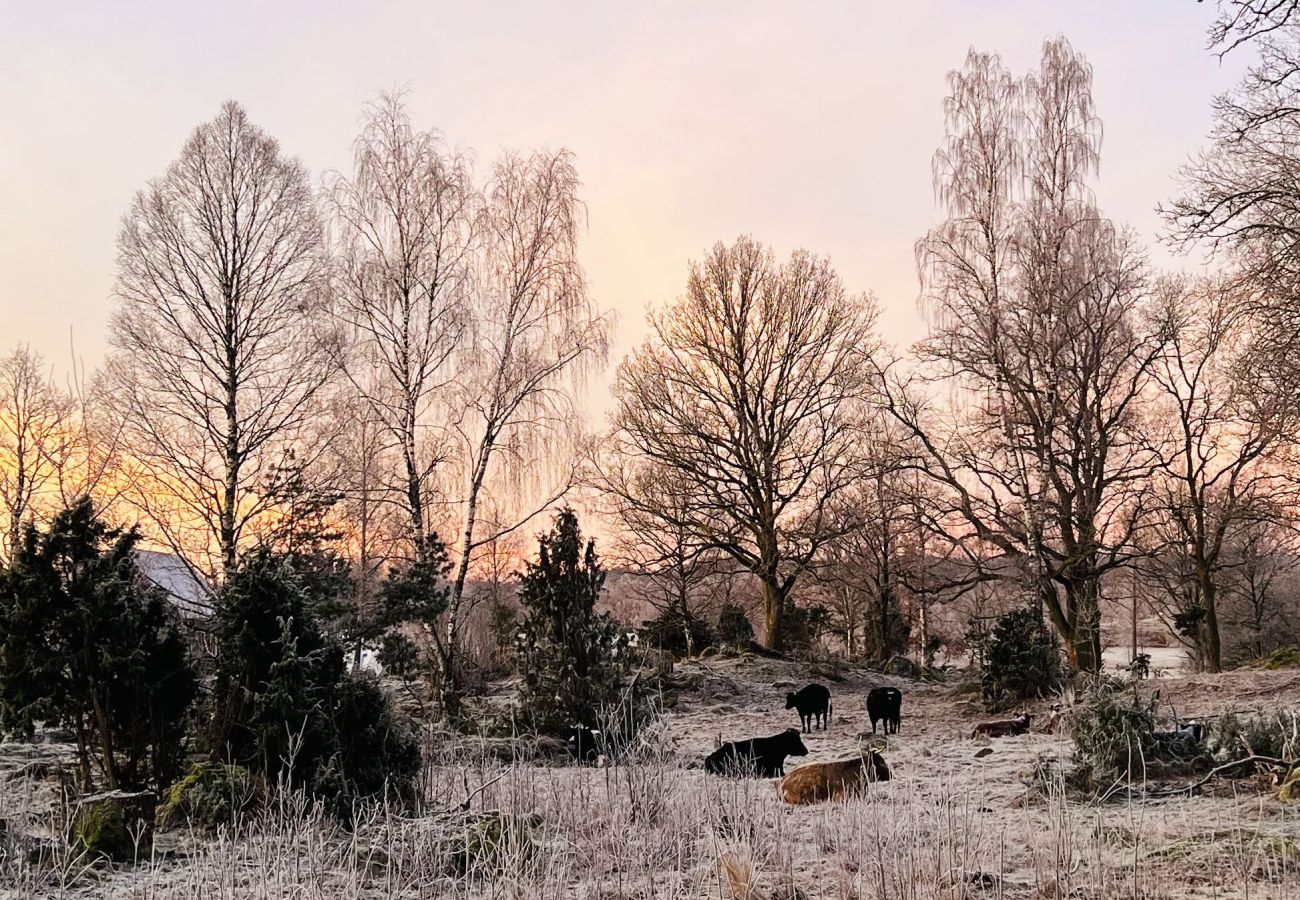 Stuga i Ljung - Lantlig charm och modern komfort – nära natur och bad |SE08016