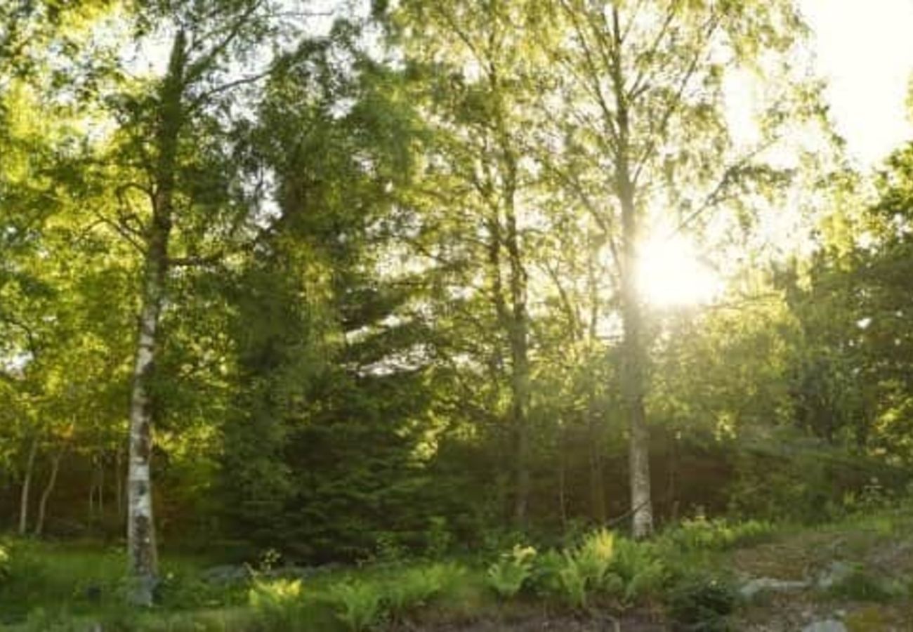 Lanthus i Fagerfjäll - SE09187